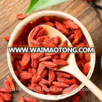 chinese certified organic goji berry