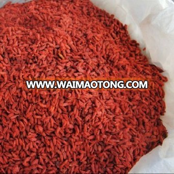 Cheap Goji berry New Crop Best Price/Ningxia/Qinghai Origin