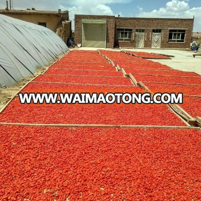 Goji berry New Crop Grade A