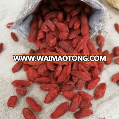 Organic Dried Ningxia Goji Berry with Certificate