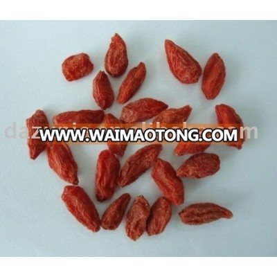 Dried Goji Berry