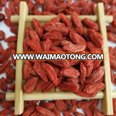 Low Pesticide Dried Ningxia Goji Berry EU Standard