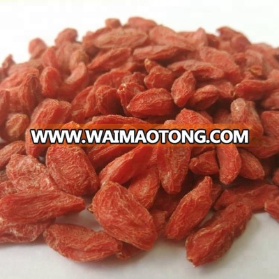 2018 new crop Goji Berry (Lycium Barbarum) from Ningxia